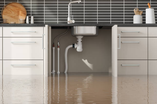 Best Flood damage cleanup  in USA